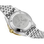 Rado Captain Cook Stainless Steel Yellow Gold for Men R32225313