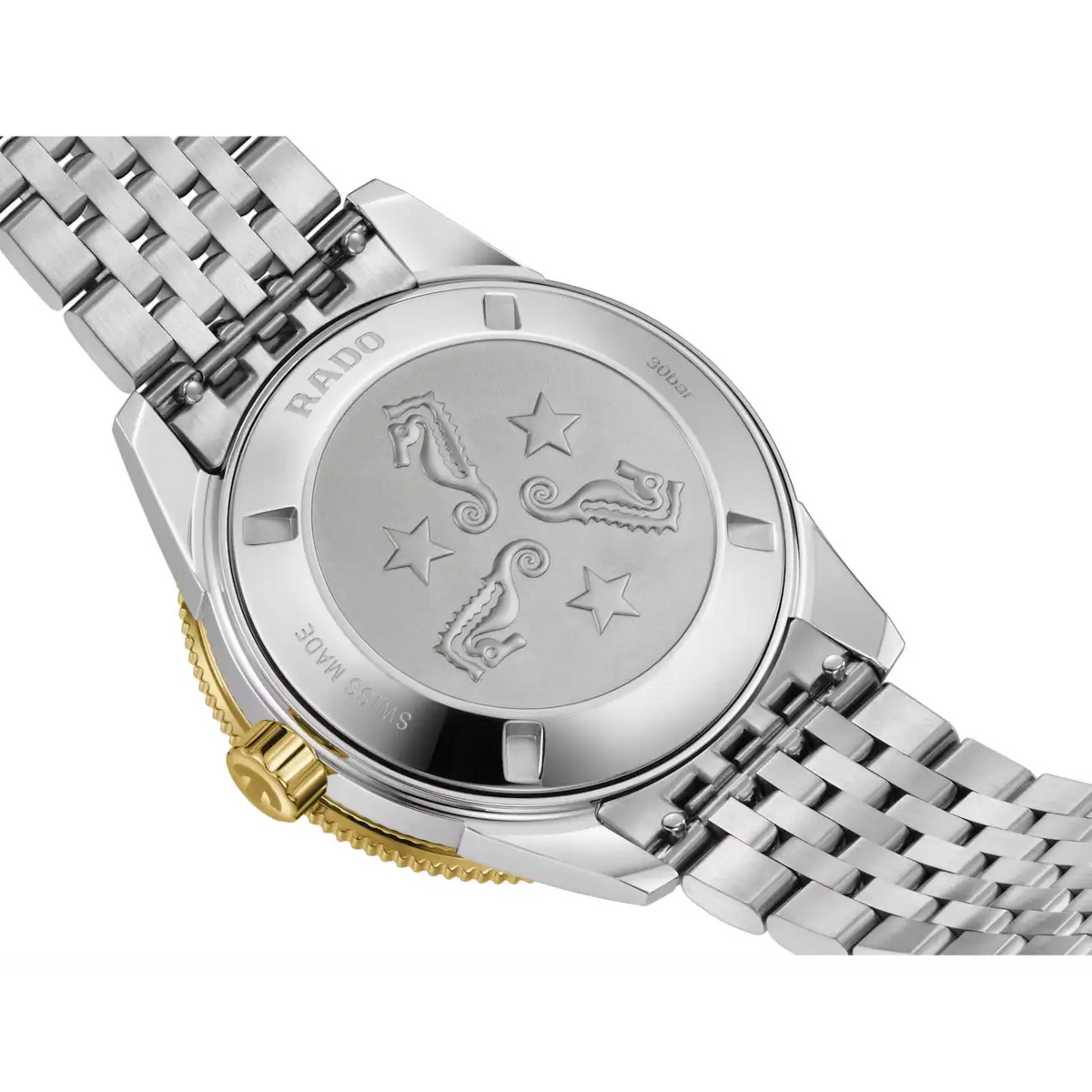 Rado Captain Cook Stainless Steel Yellow Gold for Men R32225313