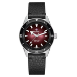 Rado Captain Cook Stainless Steel for Unisex R32223408