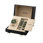 Rado Captain Cook Stainless Steel with Yellow Gold PVD for Men R32151318