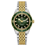 Rado Captain Cook Stainless Steel Yellow Gold for Men R32225313