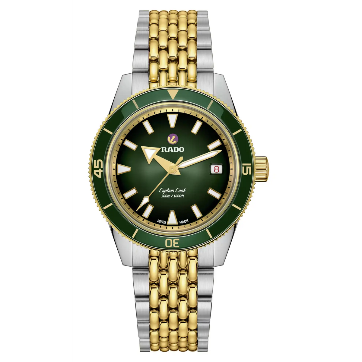 Rado Captain Cook Stainless Steel Yellow Gold for Men R32225313