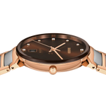 Rado Florence Stainless Steel Yellow Gold for Women R48918713